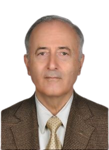 محمد حلوایی